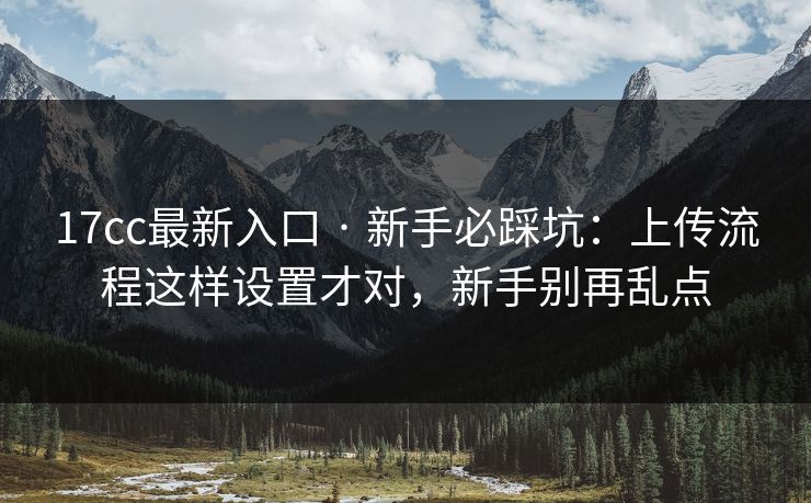17cc最新入口 · 新手必踩坑：上传流程这样设置才对，新手别再乱点