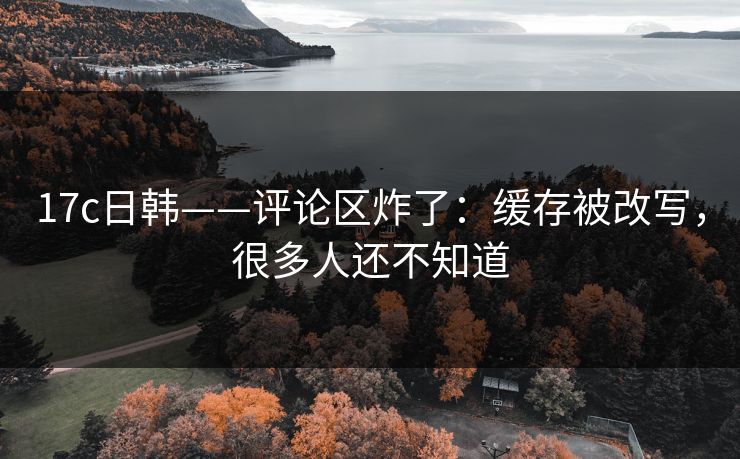 17c日韩——评论区炸了：缓存被改写，很多人还不知道
