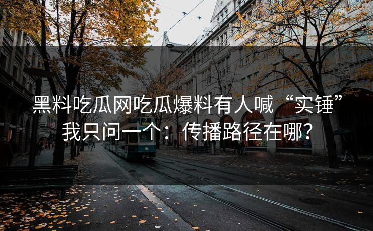 黑料吃瓜网吃瓜爆料有人喊“实锤”我只问一个：传播路径在哪？
